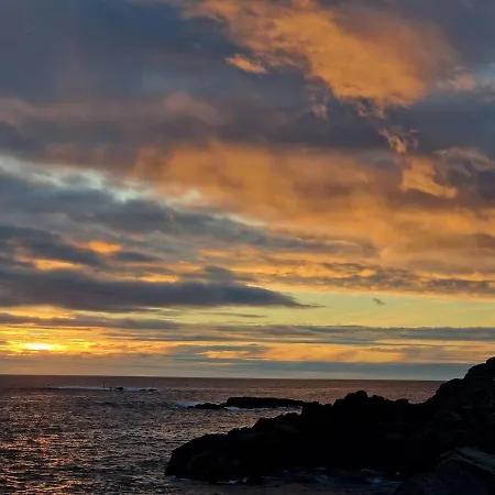 Downtown In 아파트 *