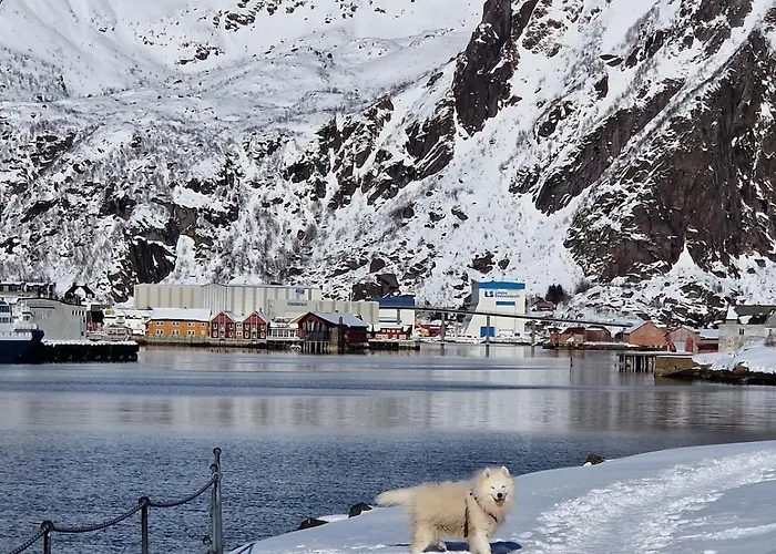 아파트 Downtown In *