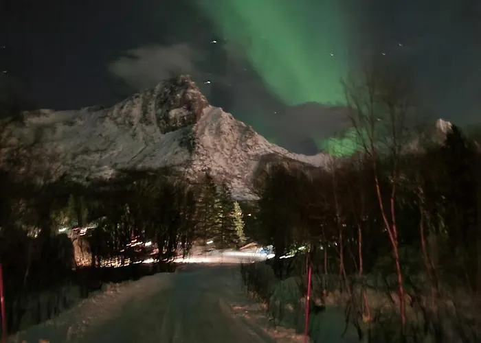 Downtown In 아파트 *