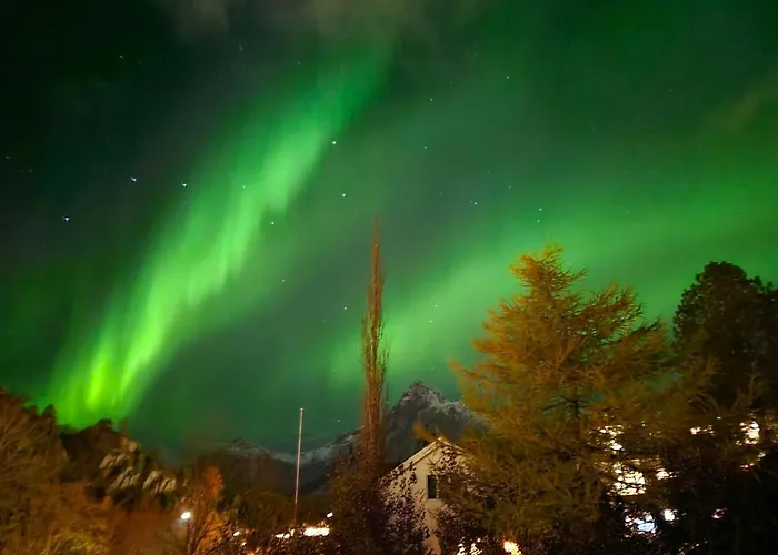 Downtown In 아파트