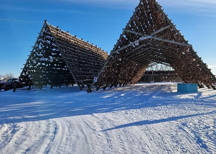 Downtown In סבולבאר